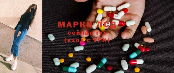 прущие грибы Вязьма