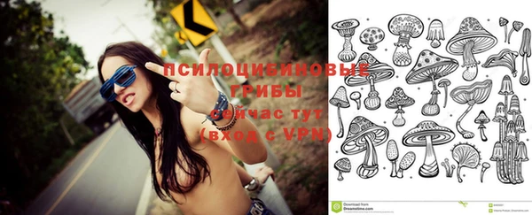 твердый Вяземский
