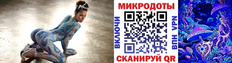Галлюциногенные грибы Psilocybine cubensis  Купить где  Остров 